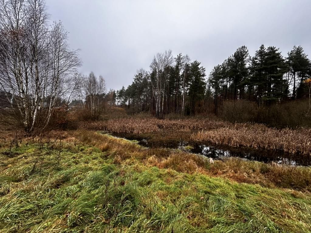 Działka budowlana Szczodrowo, ul. Brzozowa