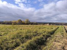 Działka budowlana Jasło Nowy Żółków, ul. Leśna. Zdjęcie 3