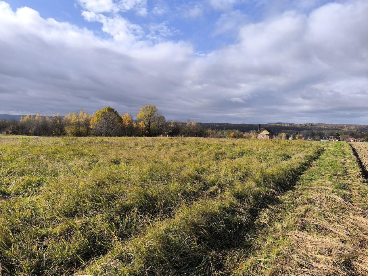 Działka budowlana Jasło Nowy Żółków, ul. Leśna. Zdjęcie 4
