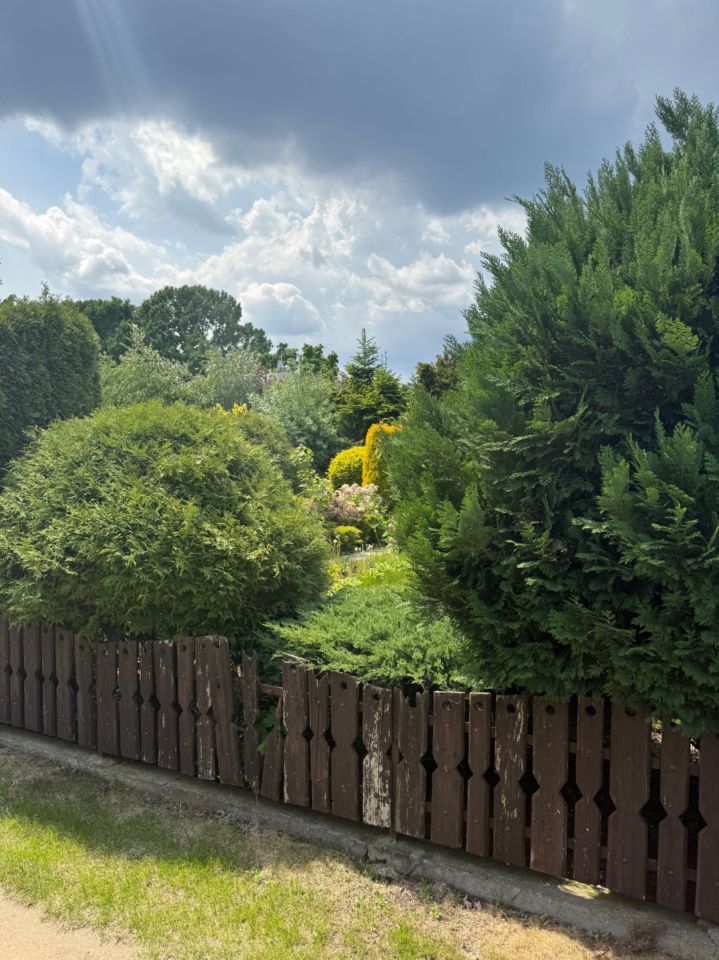 Działka rod Toruń, ul. Okólna. Zdjęcie 8