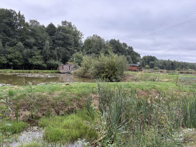 Działka Wojciechów. Zdjęcie 1