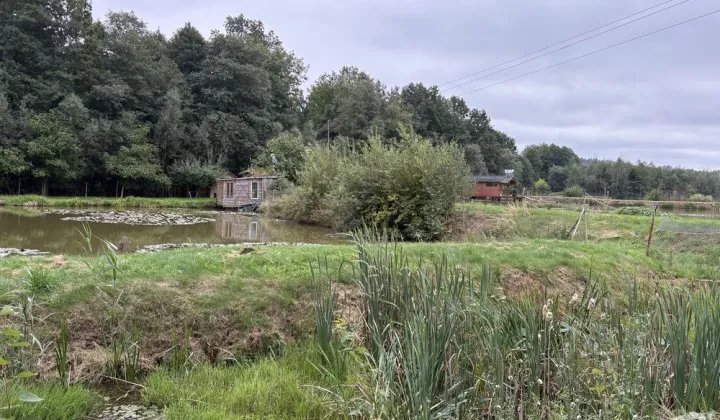 Działka Wojciechów