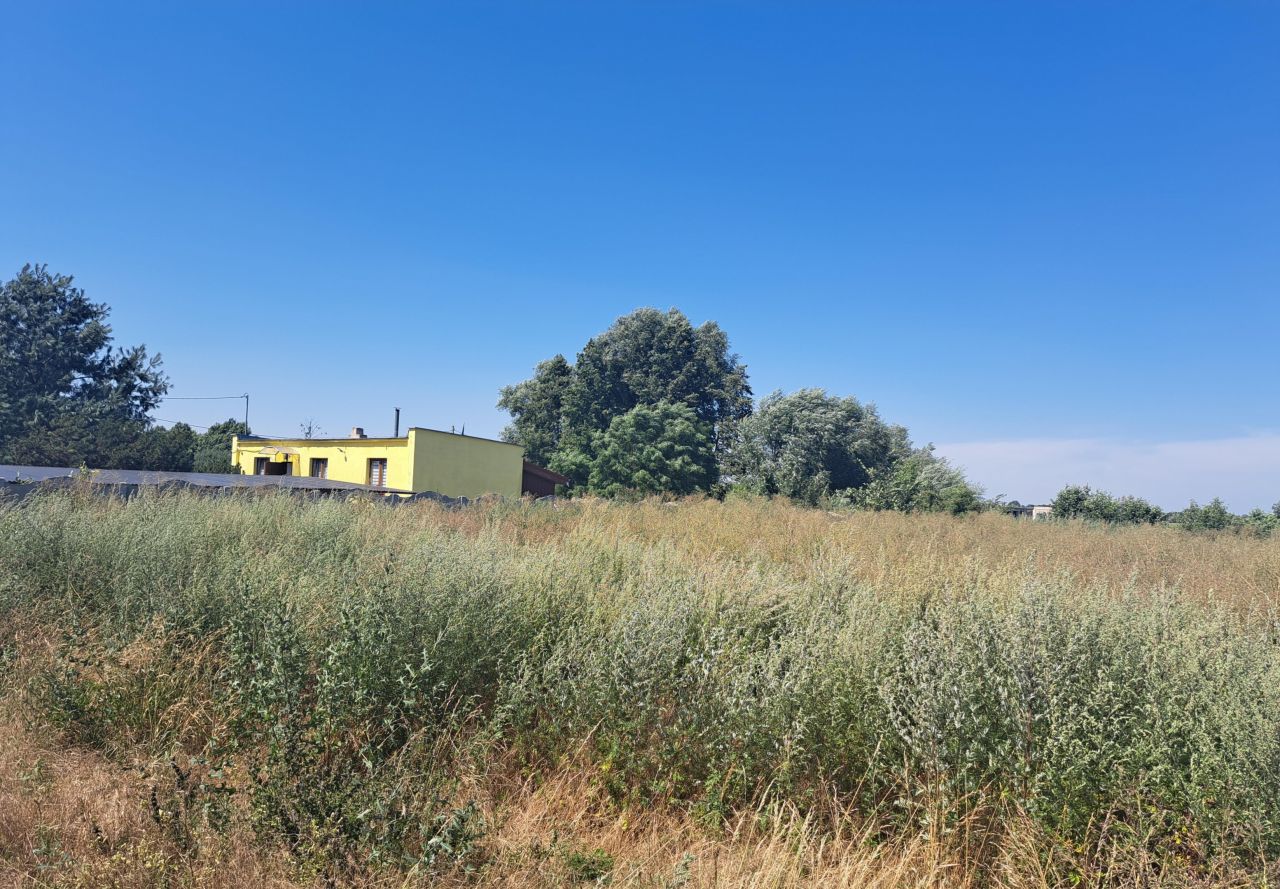 Działka rolno-budowlana Zaszczytowo. Zdjęcie 11