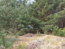 Działka Chrzypsko Małe. Zdjęcie 1