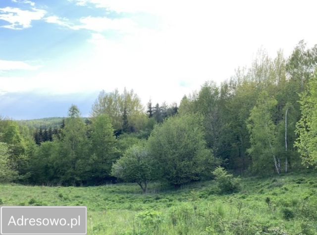 Działka budowlana Wysoka Wieś. Zdjęcie 1