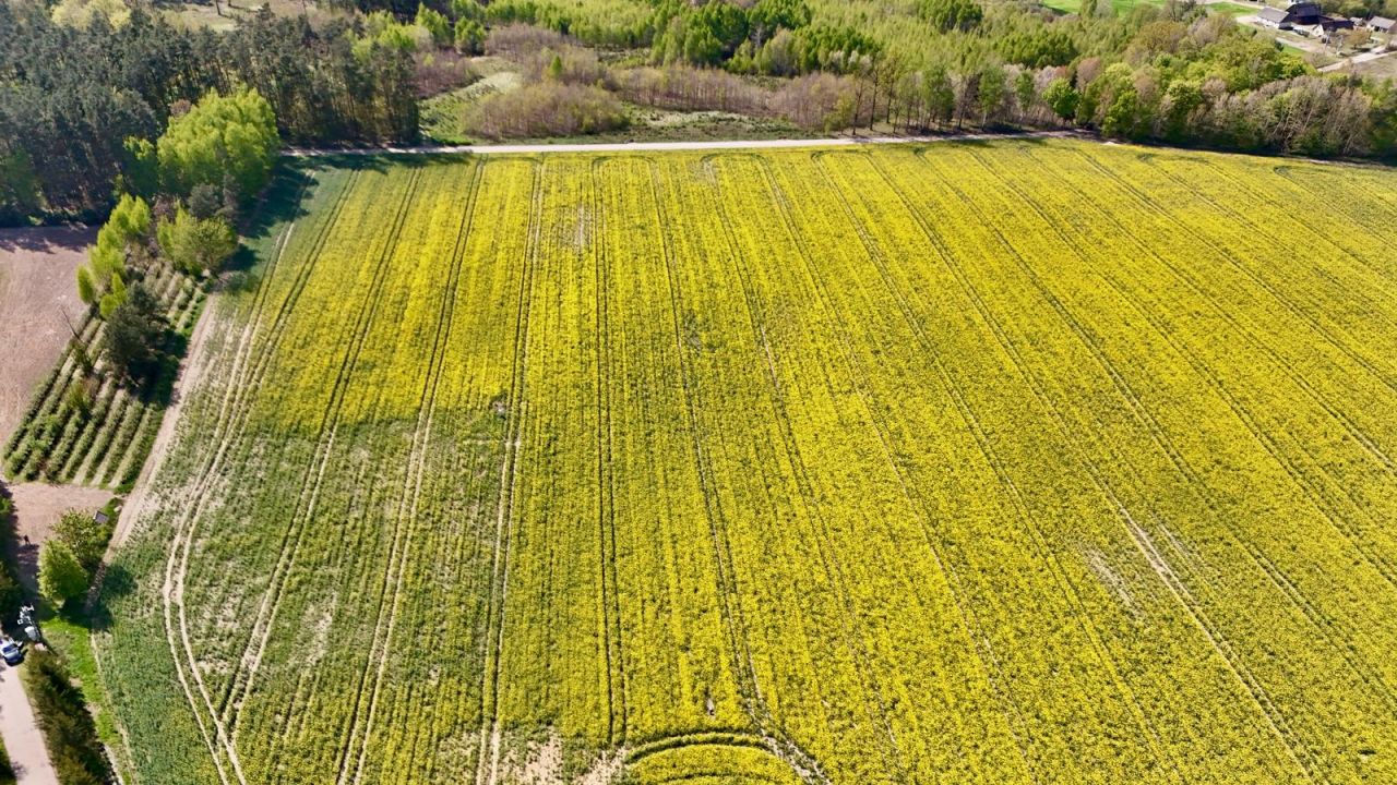 Działka budowlana Skrzynki. Zdjęcie 2