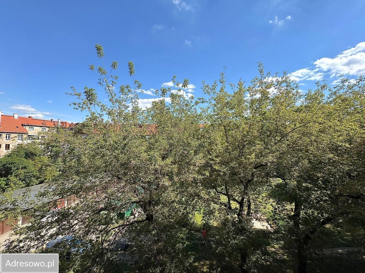 Mieszkanie 2-pokojowe Wrocław Śródmieście, ul. kard. Stefana Wyszyńskiego. Zdjęcie 7