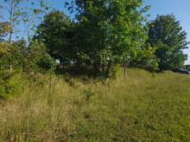 Działka rolno-budowlana Tuchlin