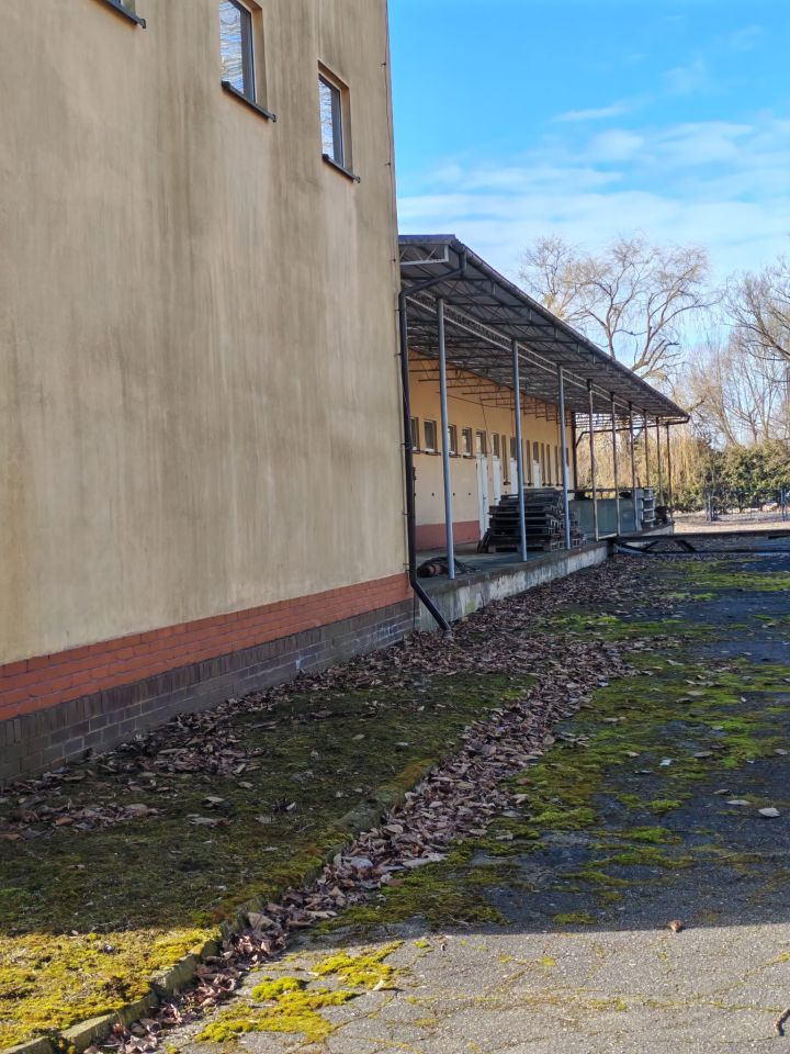 Hala/magazyn Rogoźno, ul. Rolna. Zdjęcie 6