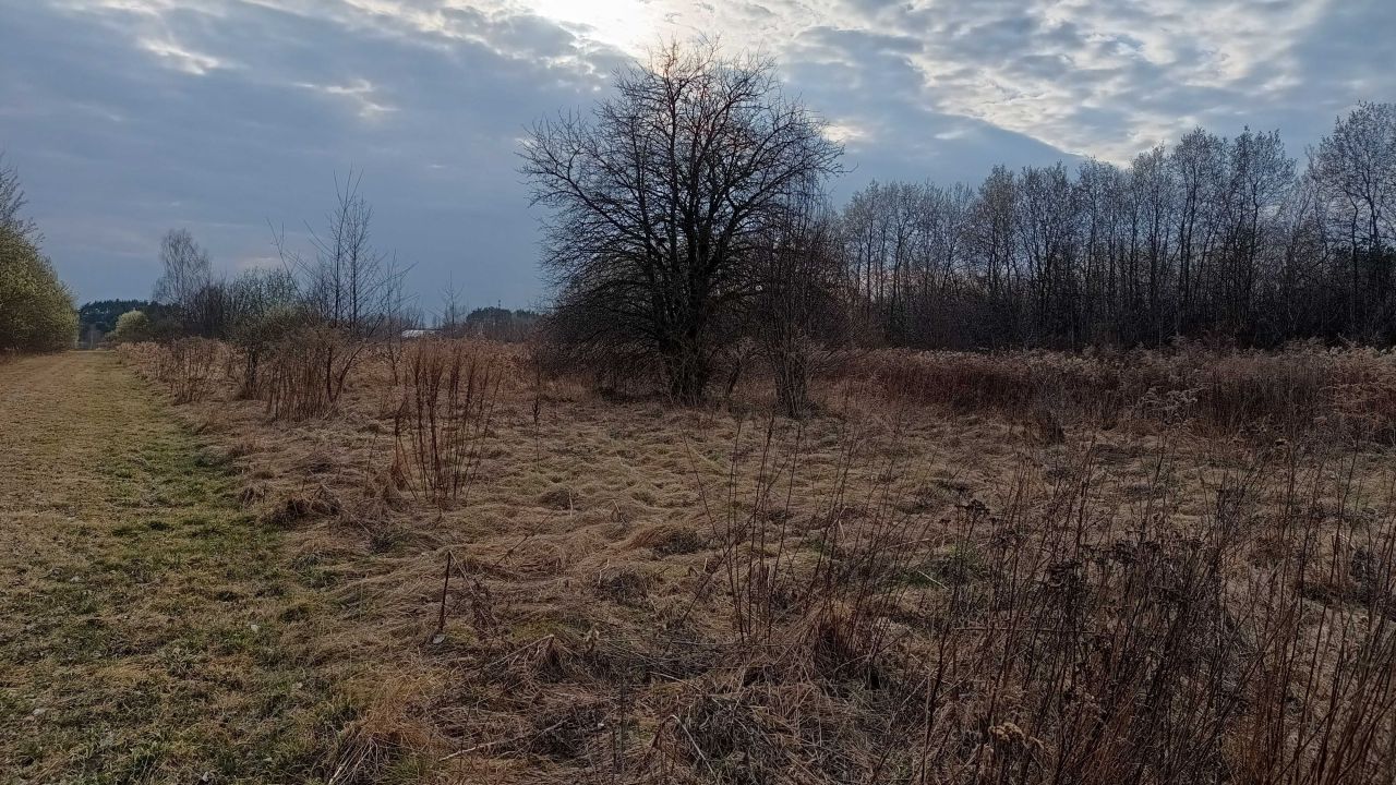 Działka rolna Rajec Poduchowny. Zdjęcie 3