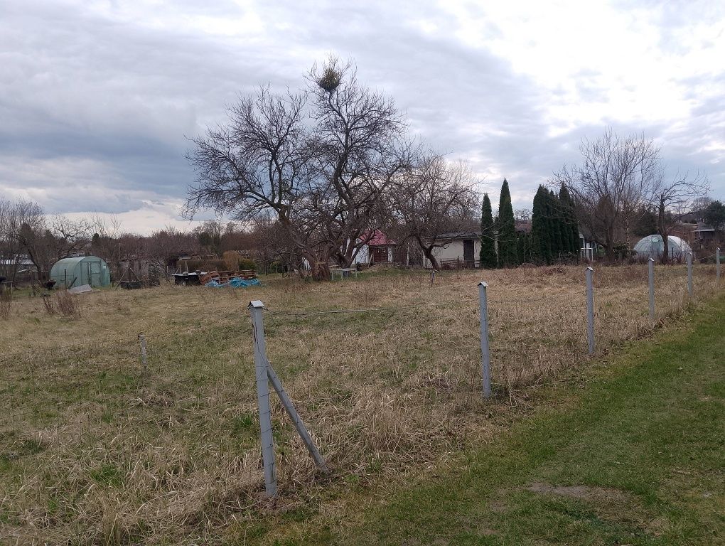 Działka rod Wałcz. Zdjęcie 3