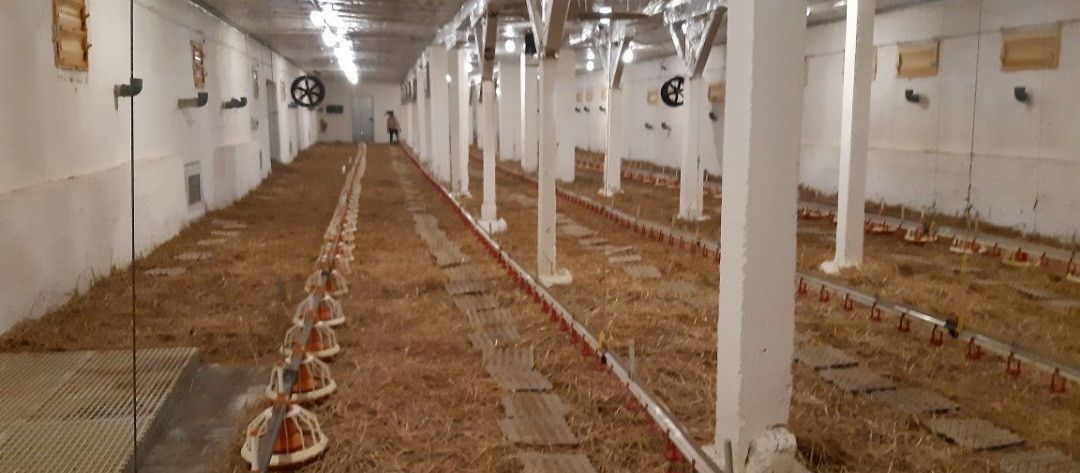 Nieruchomość komercyjna Kliczewo Małe, ul. Nowa. Zdjęcie 4