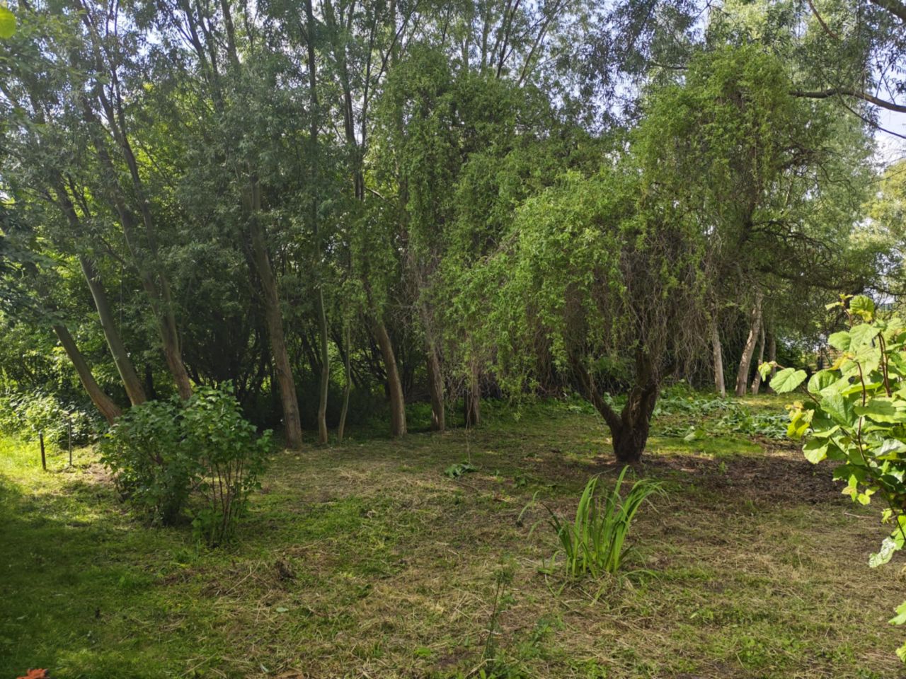 Działka rod Lublin Podzamcze, ul. Podzamcze. Zdjęcie 13