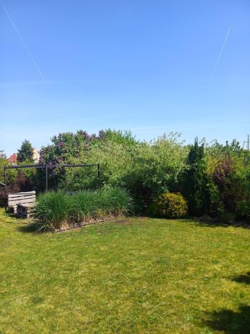 Działka rod Racibórz, ul. Źródlana. Zdjęcie 1