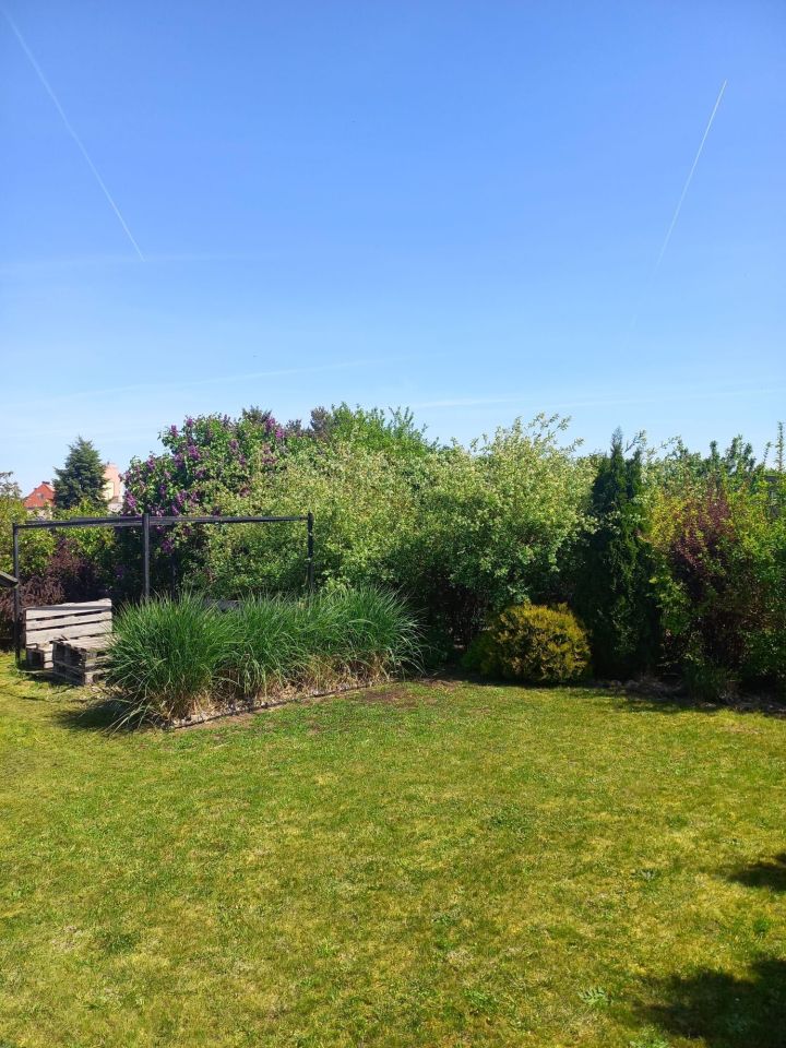 Działka rod Racibórz, ul. Źródlana