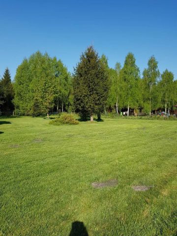 Działka rekreacyjna Szczechy Małe. Zdjęcie 6