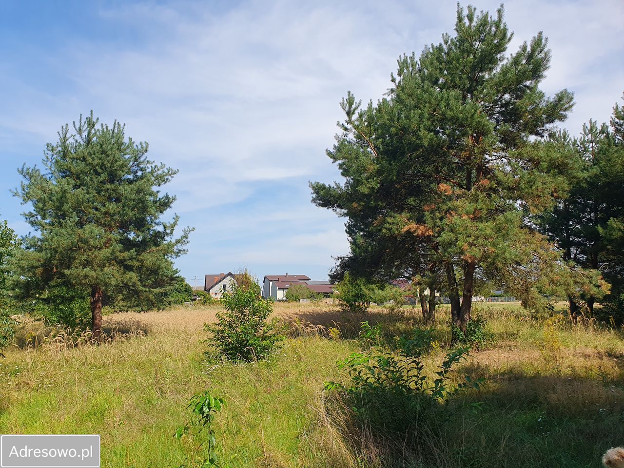 Działka budowlana Topola Wielka, ul. Długa. Zdjęcie 6