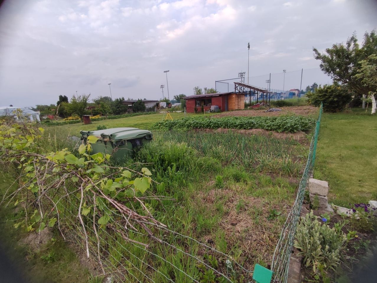 Działka rod Bytom Odrzański. Zdjęcie 1