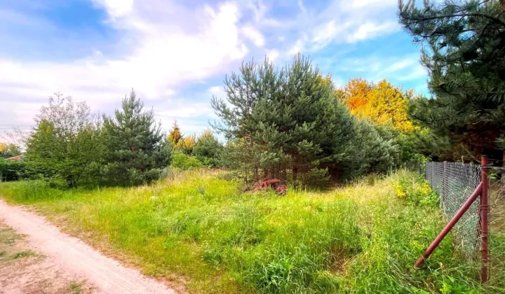 Działka budowlana Dąb Polski, Goździkowa