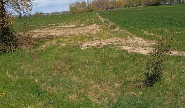 Działka rolna Klejniki Tinkowszczyzna