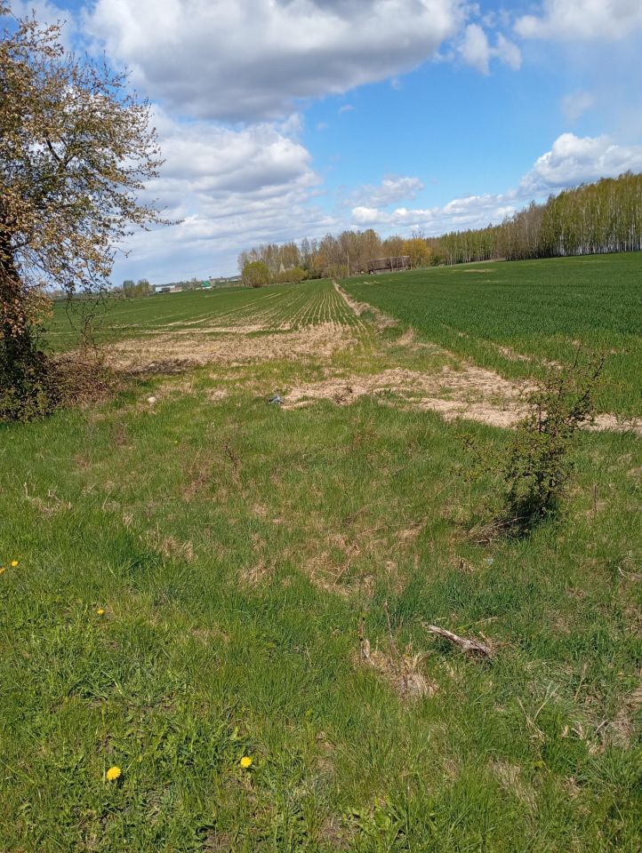 Działka rolna Klejniki Tinkowszczyzna. Zdjęcie 1