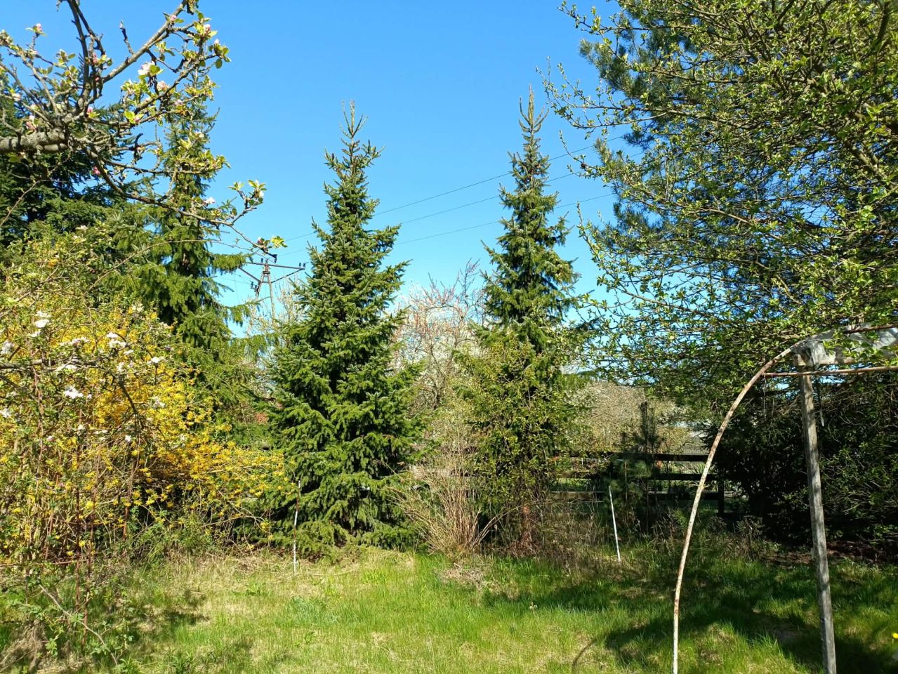 Działka rod Zduńska Wola, ul. Prosta. Zdjęcie 7