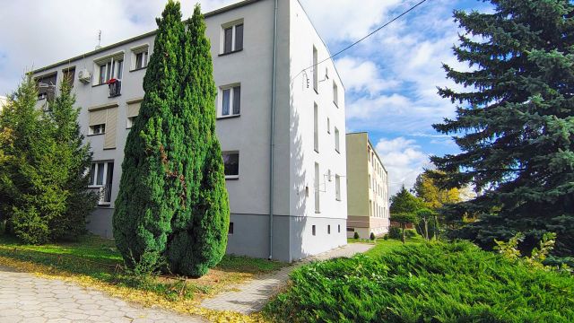 Mieszkanie 1-pokojowe Sokołowo, ul. Sportowa. Zdjęcie 1