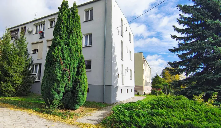 Mieszkanie 1-pokojowe Sokołowo, ul. Sportowa