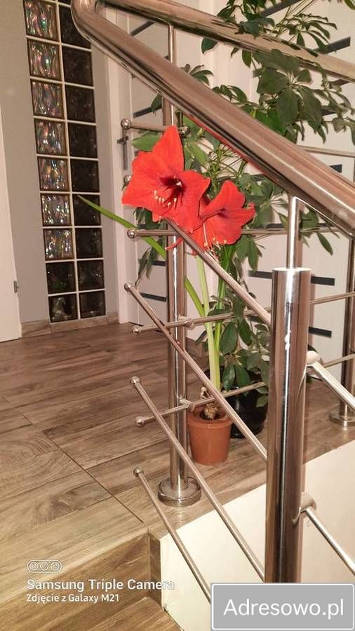 dom szeregowy, 10 pokoi Suwałki, ul. Wesoła. Zdjęcie 4