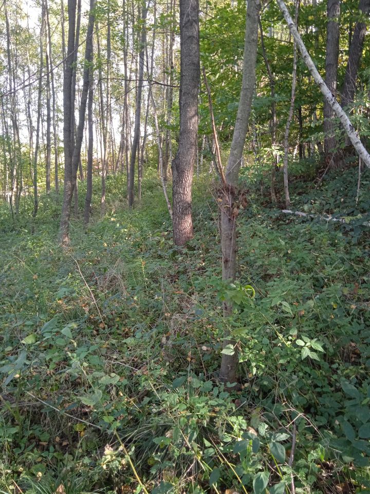 Działka budowlana Błędowa Tyczyńska. Zdjęcie 2