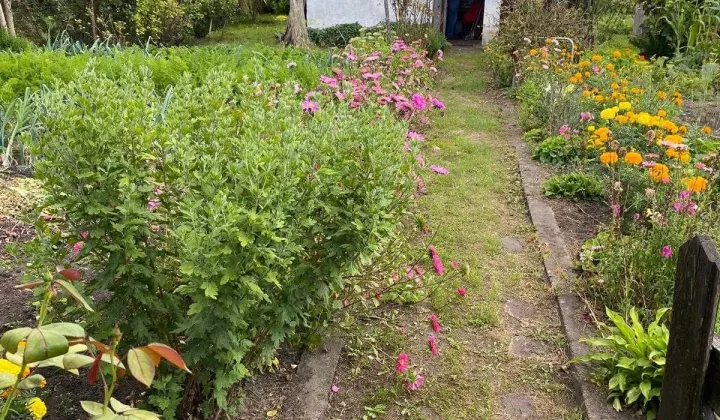 Działka rod Namysłów