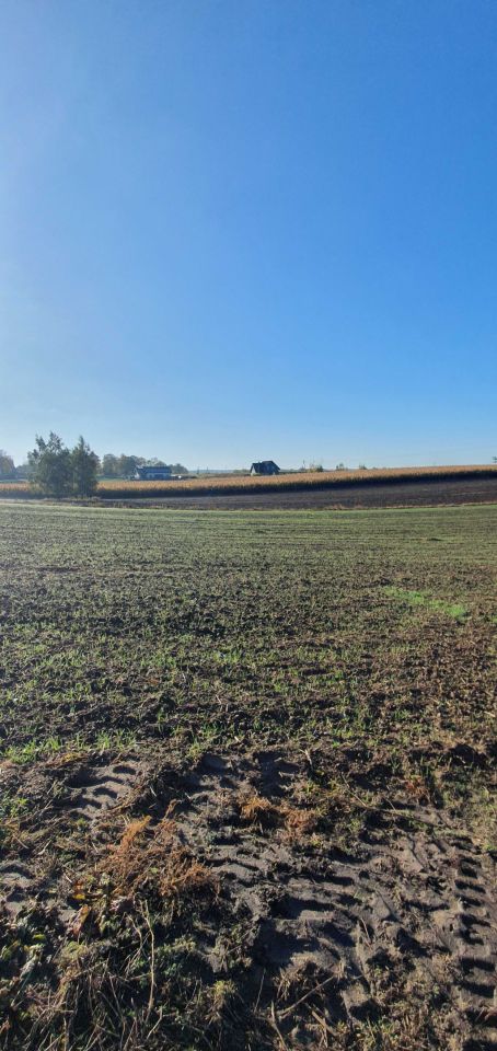 Działka budowlana Nowa Wieś Kętrzyńska. Zdjęcie 6