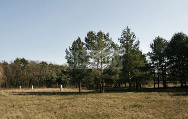 Działka budowlana Rajszew. Zdjęcie 4