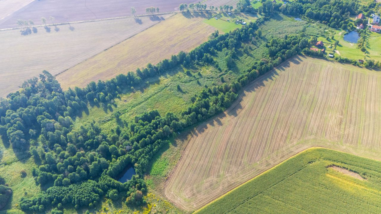 Działka rolno-budowlana Gołębiewo. Zdjęcie 3