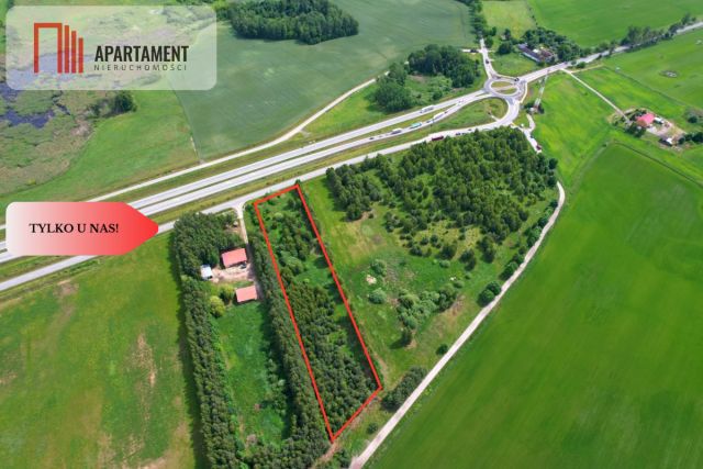 Działka inwestycyjna Turowo. Zdjęcie 1