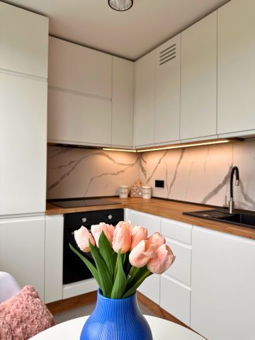 Mieszkanie 3-pokojowe Katowice Śródmieście, ul. Rybnicka. Zdjęcie 5