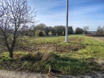 Działka rolna Zaryń. Zdjęcie 3