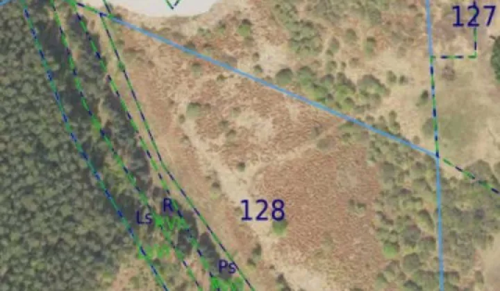 Działka rolna Ptaki