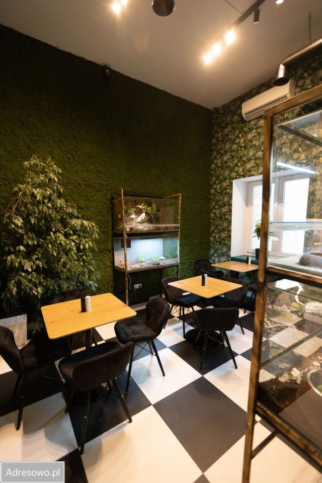 Lokal Wrocław Stare Miasto. Zdjęcie 8