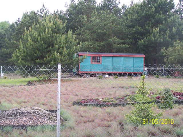 Działka budowlana Dąb Wielki, ul. Sosnowa. Zdjęcie 1