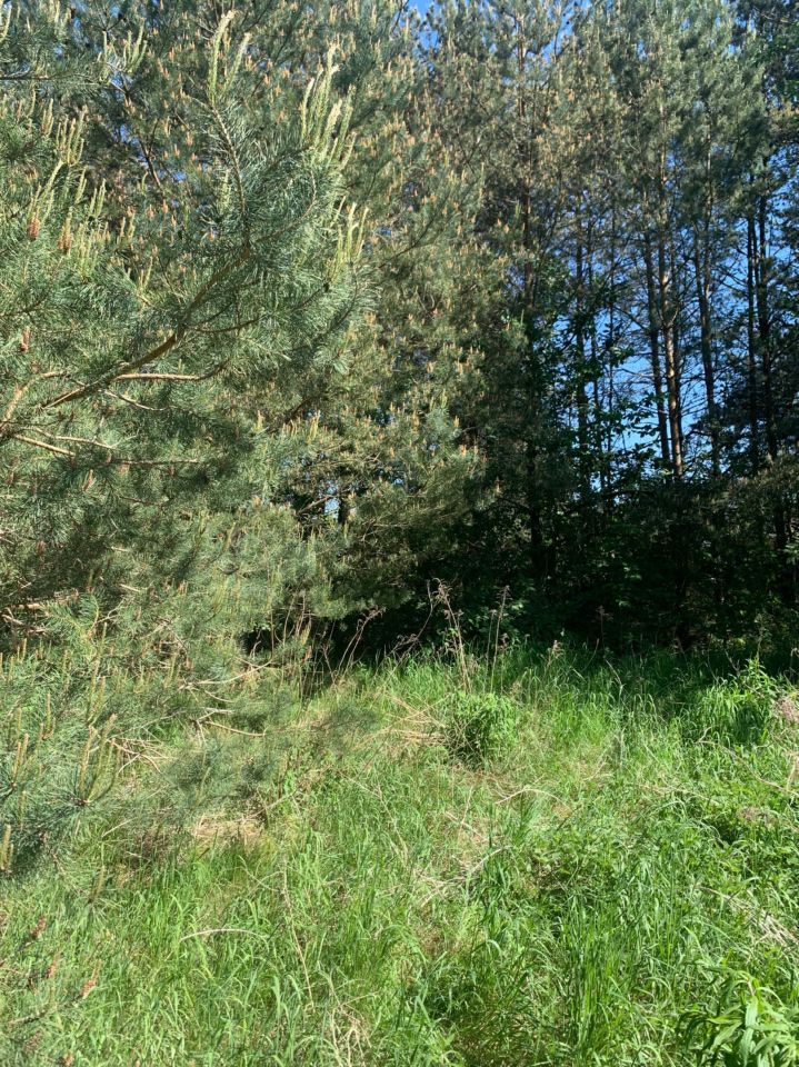 Działka budowlana Osówiec. Zdjęcie 2