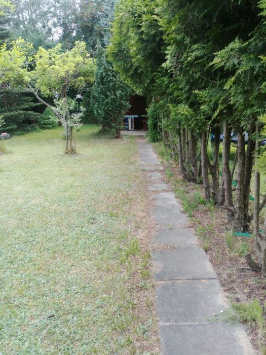 Działka rod Gdańsk. Zdjęcie 3