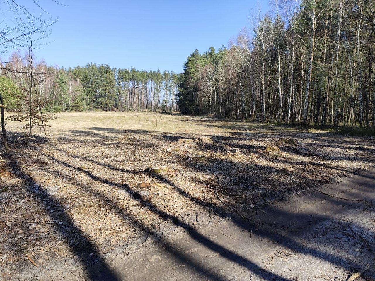 Działka rolna Reduchów-Kolonia. Zdjęcie 2