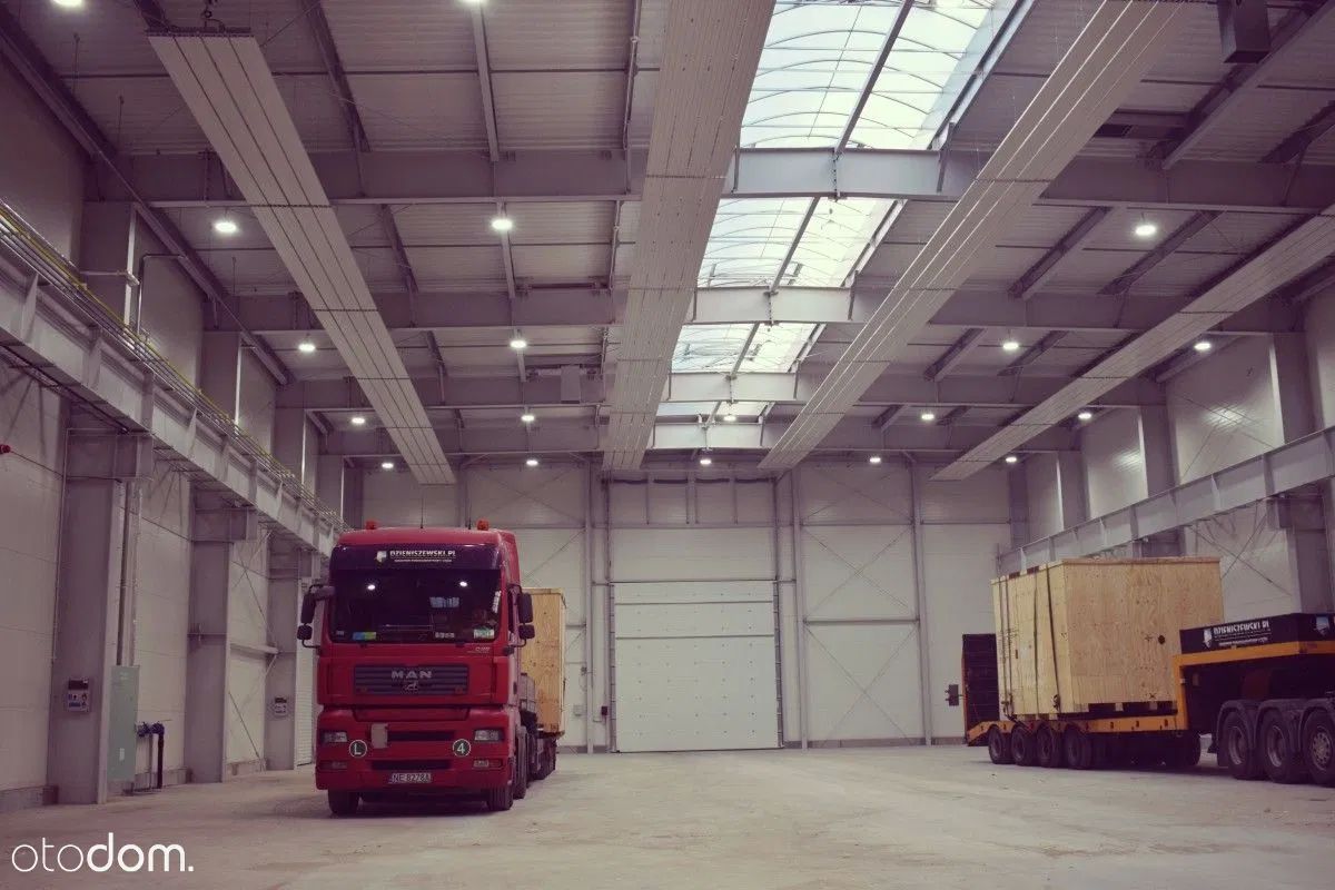 Hala/magazyn Elbląg. Zdjęcie 8