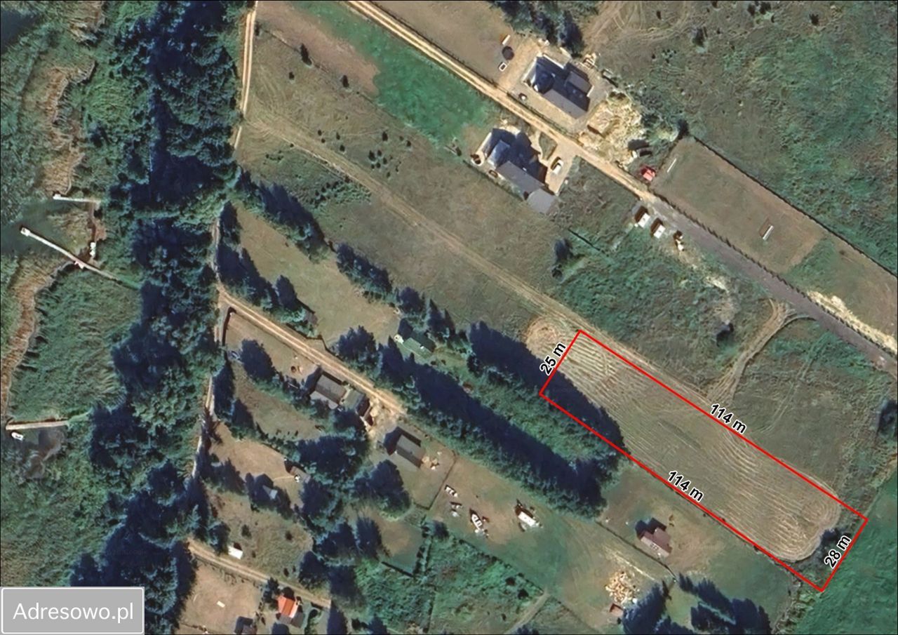 Działka siedliskowa Zdory. Zdjęcie 3