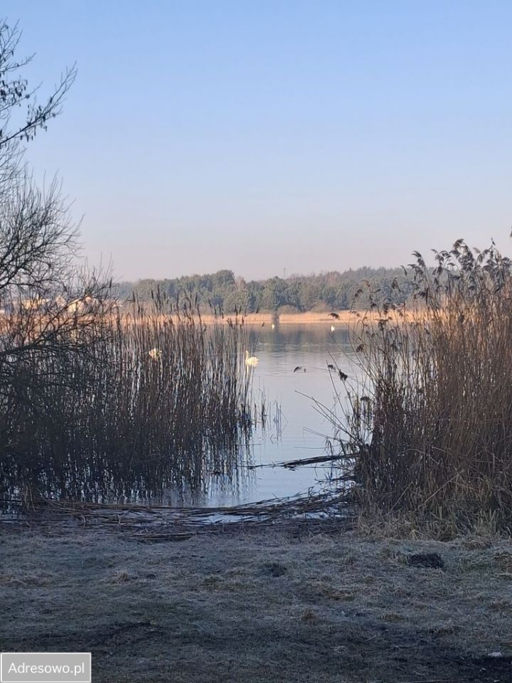 dom wolnostojący, 4 pokoje Semlin, os. Leśne. Zdjęcie 9