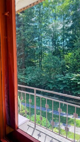 bliźniak Krynica-Zdrój. Zdjęcie 6