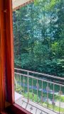 bliźniak Krynica-Zdrój. Zdjęcie 4