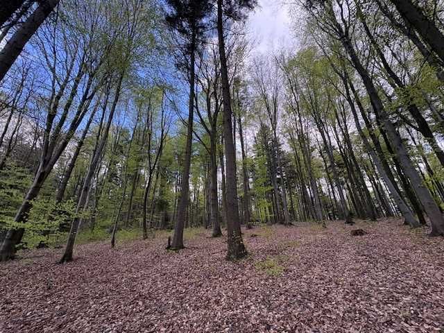 Działka budowlana Siodła. Zdjęcie 5