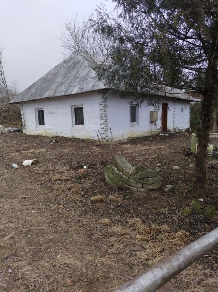 Działka rolno-budowlana Rączyna. Zdjęcie 3